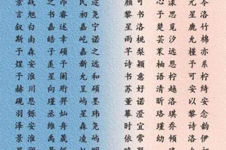 下午3点出生的属蛇男孩要怎样取名起名，用什么字姓名