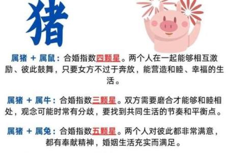 属猪丑时出生的男孩如何起名，适合什么字姓名