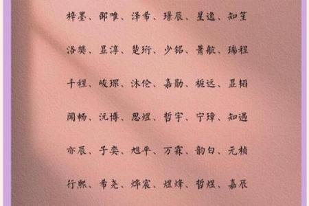 2019年3月28号申时出生的男孩如何起名姓名