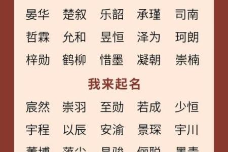 2019年5月9号寅时出生的男孩应该起什么样的名字姓名
