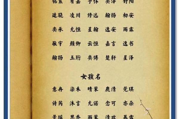 2月份出生的属兔女孩起什么名字好姓名