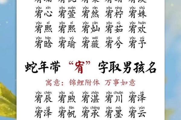 属蛇卯时出生的男孩如何取名字，宜用什么字姓名