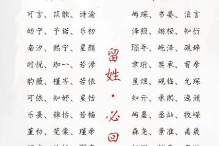 属蛇卯时出生的男孩如何取名字，宜用什么字姓名