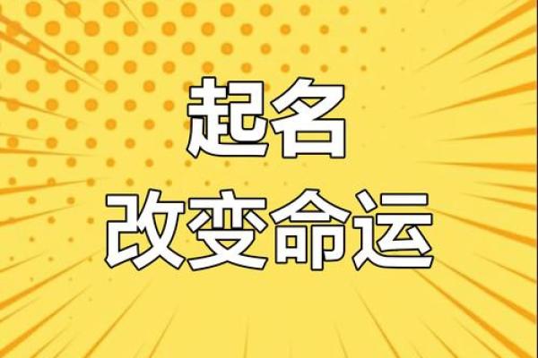 晚上出生的属猴男孩起什么，应用什么字姓名