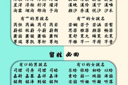 早上出生属兔的男孩应该怎样取名字呢姓名