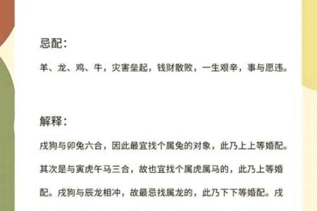 中午12点出生的属狗男孩取什么名，适合什么字姓名