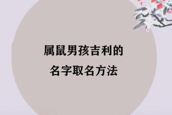 要给下午5点出生的属鼠男孩取名用什么字合适姓名 要给下午5点出生的属鼠男孩取名用什么字合适姓名