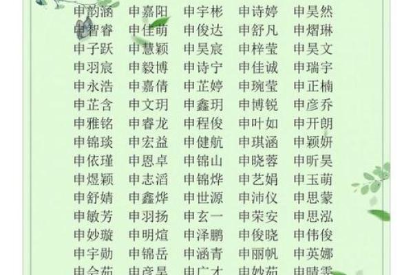 申时出生的属兔男孩适合取什么样的名字姓名 申时出生的属兔男孩适合取什么样的名字姓名