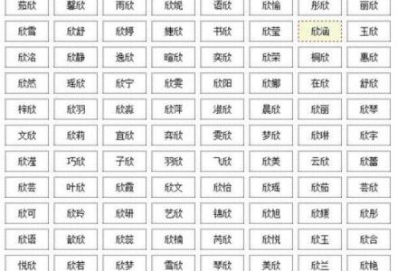 属猪子时出生的男孩如何起名，适合什么字姓名