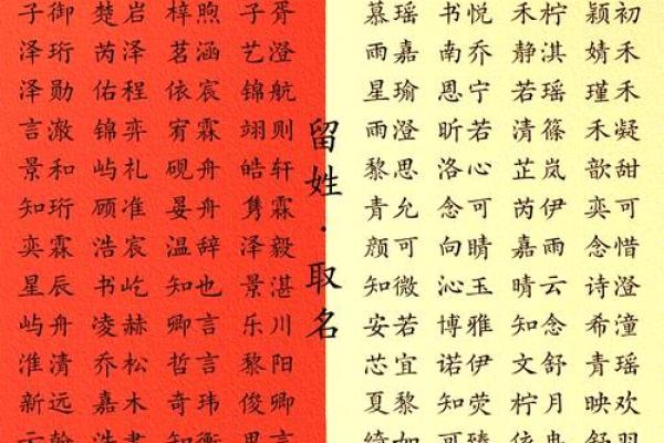 2019年4月18号卯时出生的男孩应该起什么样的名字姓名