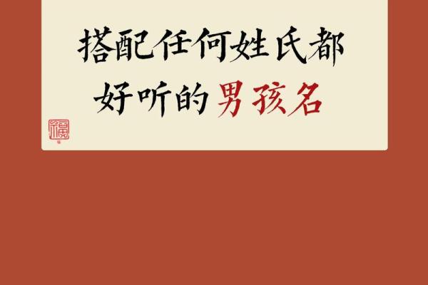 2019年3月25号午时出生的男孩应该起什么样的名字姓名