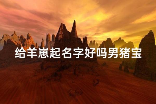 8月份出生的属羊男孩该怎样起名姓名