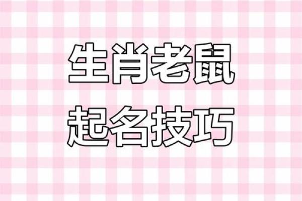 下午出生的属鼠男孩如何起名才合适姓名 下午出生的属鼠男孩如何起名才合适姓名