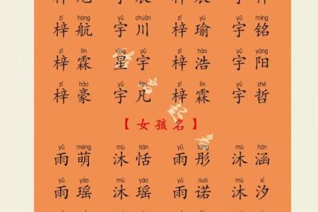 中午出生的属猴男孩取什么名，宜用什么字姓名