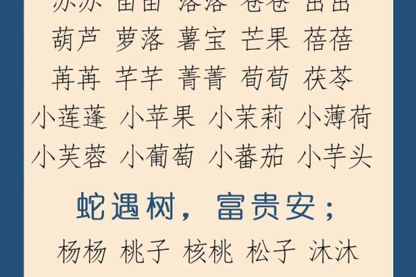 中午12点出生的属蛇男孩如何取名，宜用什么字姓名