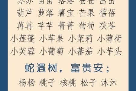 中午12点出生的属蛇男孩如何取名，宜用什么字姓名