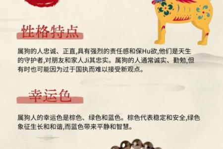 二月份出生的属狗男孩怎么取名字姓名