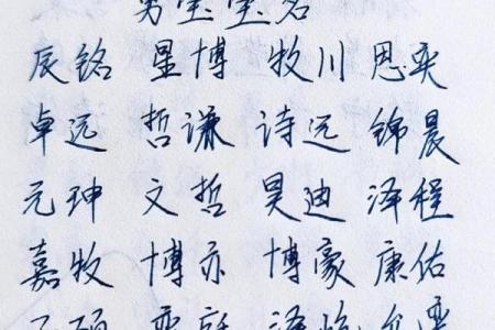 2019年3月23号午时出生的男孩如何起名姓名