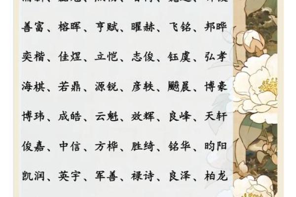 贺姓男孩名字大全-贺姓男孩起名字大全-贺姓名字大全姓名