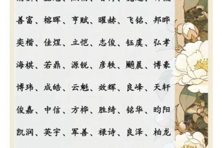 贺姓男孩名字大全-贺姓男孩起名字大全-贺姓名字大全姓名