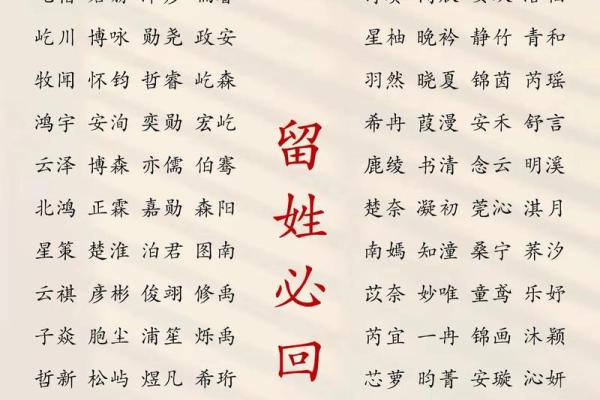 2019年5月24号寅时出生的男孩应该起什么样的名字姓名