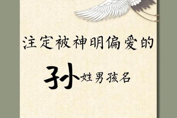 2019年出生的姓孙男孩如何起名，宜用什么字姓名