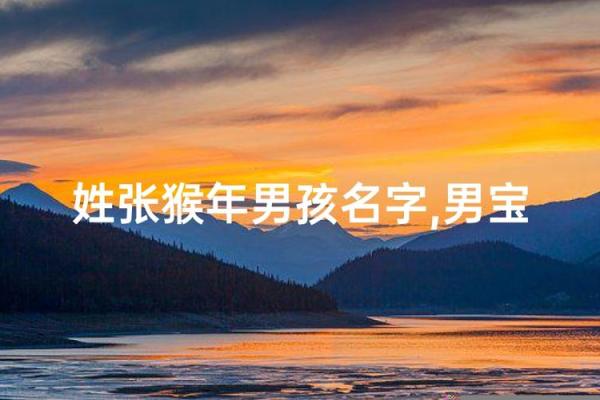 傍晚7点出生的属猴男孩要如何起名，适合用什么字姓名