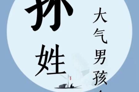 2019年出生的姓孙男孩如何起名，宜用什么字姓名