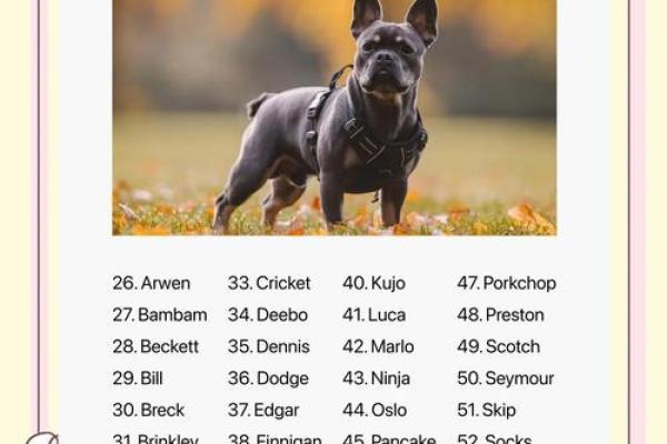 晚上八点出生的属狗男孩如何取名，宜用什么字姓名