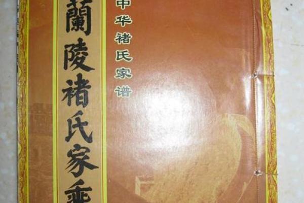 褚姓男孩名字大全-褚姓男孩起名字大全-褚姓名字大全姓名