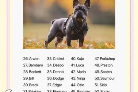 晚上八点出生的属狗男孩如何取名，宜用什么字姓名