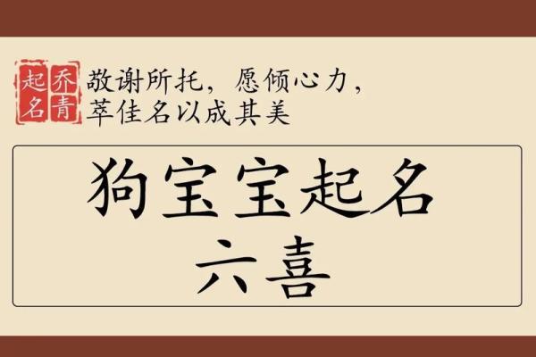 上午10点出生的属狗男孩如何取名，宜用什么字姓名