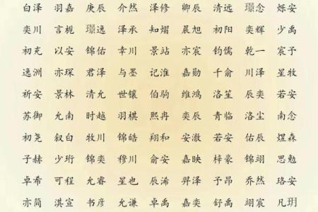 2019年4月21号寅时出生的男孩起名时要注意什么姓名