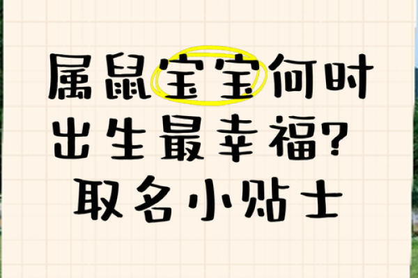 中午1点出生的属鼠男孩用什么字取名比较好姓名
