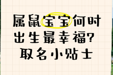 中午1点出生的属鼠男孩用什么字取名比较好姓名