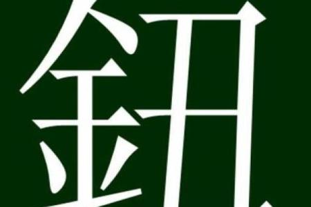 钮姓男孩名字大全-钮姓男孩起名字大全-钮姓名字大全姓名