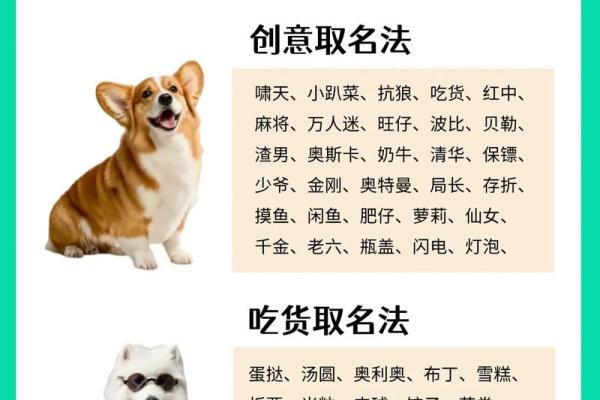 下午五点出生的属狗男孩取什么名，适合什么字姓名