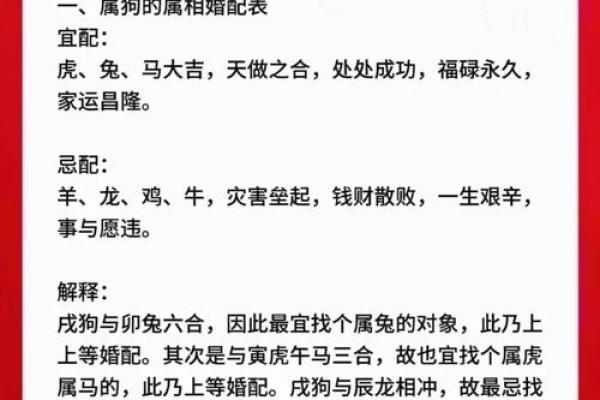 属狗申时出生的男孩如何起名，宜用什么字姓名