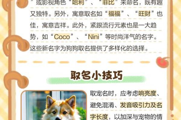 属狗申时出生的男孩如何起名，宜用什么字姓名