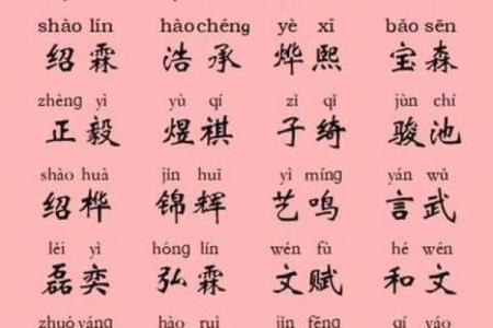 属蛇午时出生的男孩要怎么起名，适合哪些字姓名