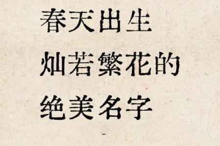 2019年3月25号子时出生的男孩如何起名姓名