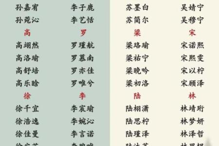 2019年5月20号寅时出生的男孩如何起名姓名