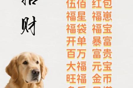 下午出生的属狗男孩取什么名，宜用什么字姓名