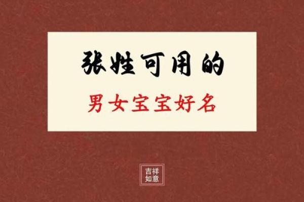 属狗的张姓男孩起名大全,张氏名字汇总姓名 属狗的张姓男孩起名大全,张氏名字汇总姓名