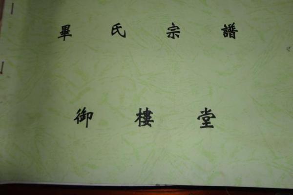 毕姓女孩名字大全-毕姓女孩起名字大全-毕姓名字大全姓名