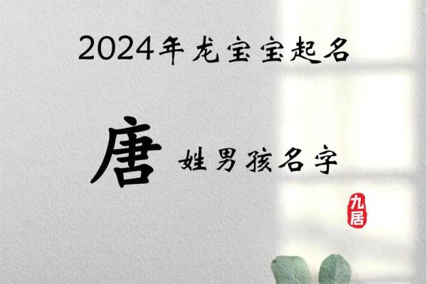 2019年4月20号丑时出生的男孩起名时要注意什么姓名