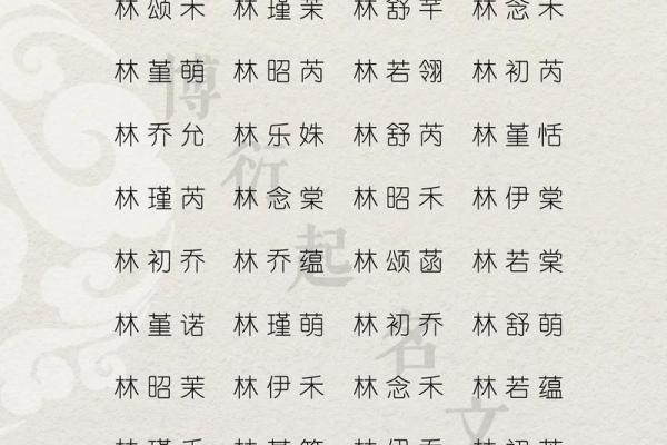 林姓男孩名字大全-林姓男孩起名字大全-林姓名字大全姓名