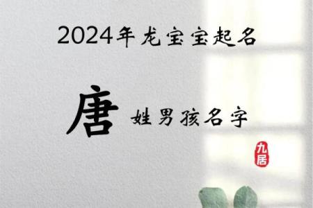 2019年4月20号丑时出生的男孩起名时要注意什么姓名