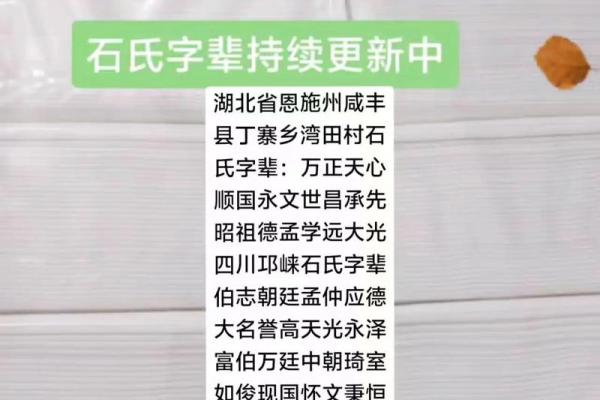 石姓男孩名字大全-石姓男孩起名字大全-石姓名字大全姓名