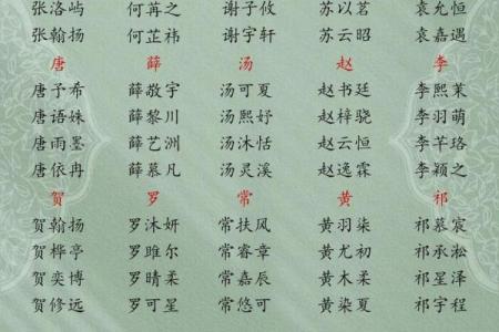 12月份出生的属蛇男孩起什么名字好呢姓名